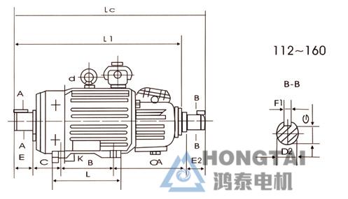 1615010500225284.jpg 081733441250.jpg